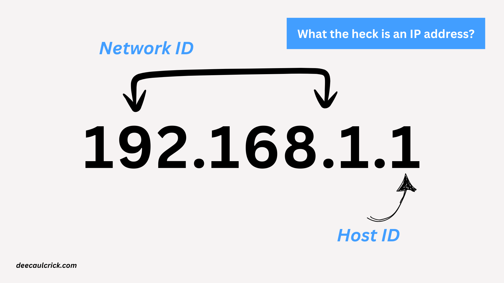 What is an IP Address